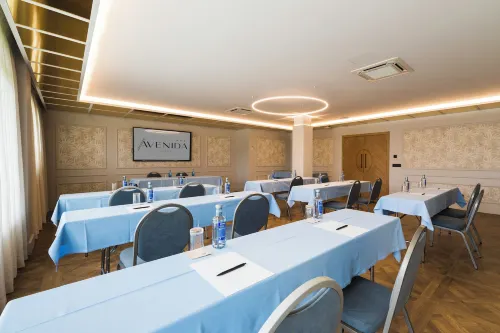 Hotel Avenida Business Facilities Photos