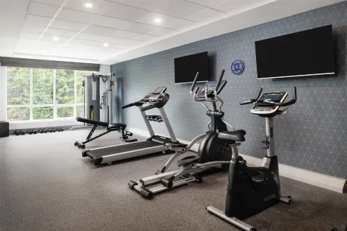Best Western Plus Gateway to the Falls Leisure & Recreation Photos