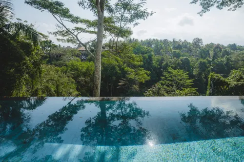 The Hidden Paradise Ubud Loisirs et amusements Photos