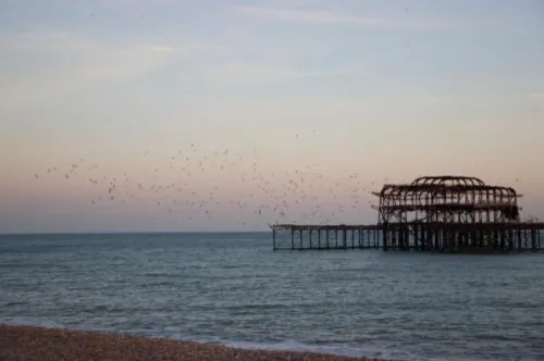 My Brighton Loisirs et amusements Photos