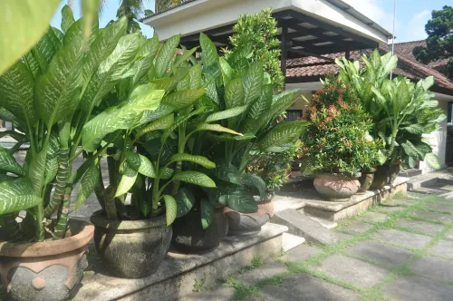 Dewi Sinta Hotel and Restaurant Esterni Photos