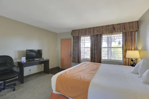 Budget Inn - St. Petersburg Chambres Photos