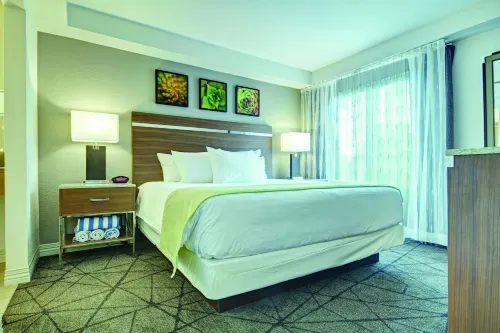 Desert Rose Resort Chambres Photos