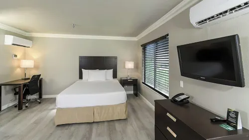 Alexis Park All Suite Resort Rooms Photos