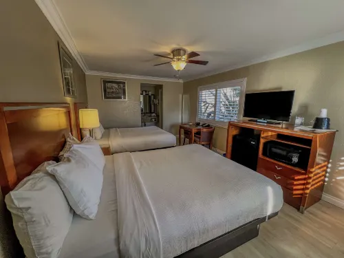 Best Western Tradewinds Chambres Photos