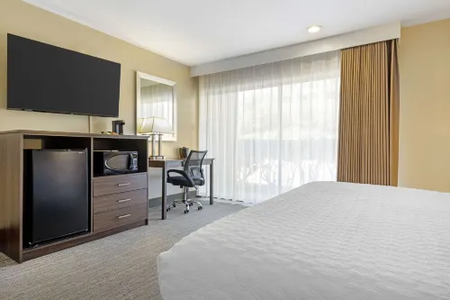 Best Western Oceanside Inn Rooms Photos