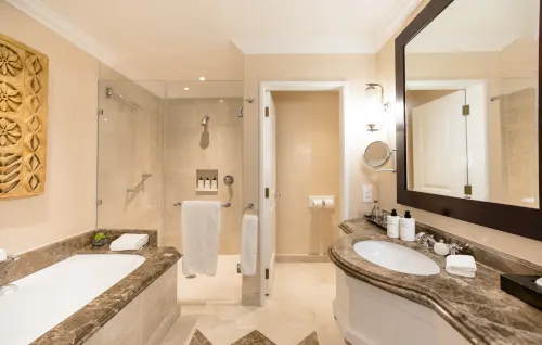 InterContinental Hotels Johannesburg O.R.Tambo Airport Photos
