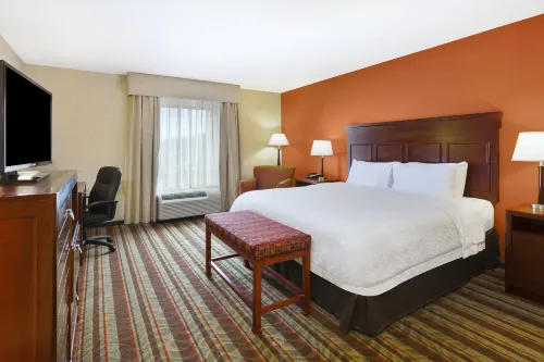 Hampton Inn Detroit/Southgate Kamar Photos