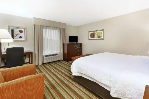 Hampton Inn Detroit/Southgate الغرف Photos