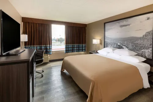 Super 8 by Wyndham Laredo Zimmer Photos
