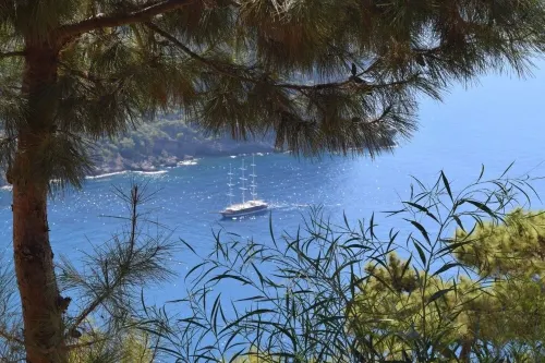Kabak Avalon Bungalows In der Nähe des Hotels Photos