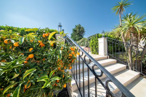 Hotel Brin d'Azur - Saint Tropez Espaces publics Photos