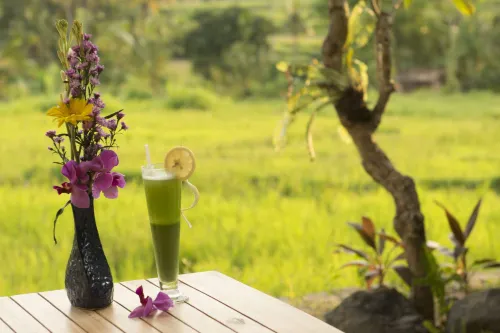 Mesari Hotel Ubud Öffentliche Flächen Photos