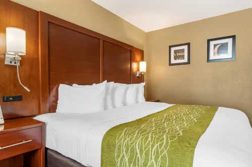 Comfort Inn MSP Airport - Mall of America Photos