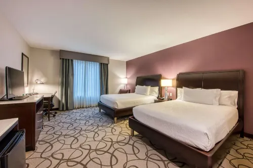 Hilton Garden Inn Irvine/Orange County Airport Camere Photos