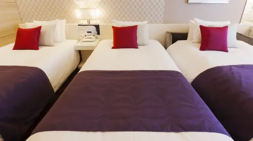Hotel Elsereine Osaka Kamar Photos
