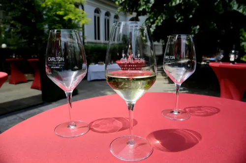 Carlton Lausanne Boutique Hôtel Leisure & Recreation Photos