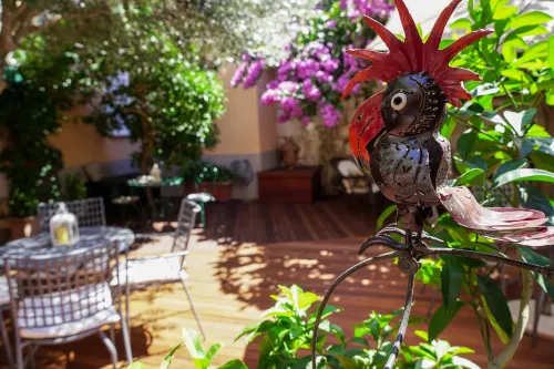 Boutique Guest Accommodation Zephyrus الغرف Photos