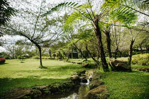 The Hill Hotel & Resort Sibolangit Powered by Archipelago Near Hotel Photos