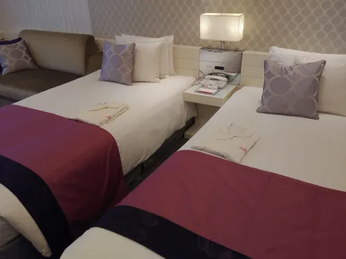 Hotel Elsereine Osaka Photos