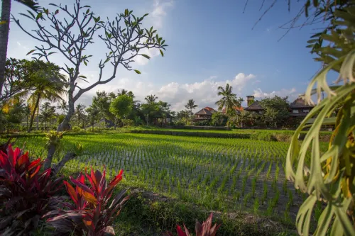 Agung Raka Resort & Villa Eksterior Photos