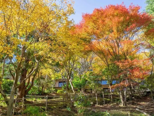 Kirishima Momijidani Seiryuso À proximité de l'hôtel Photos