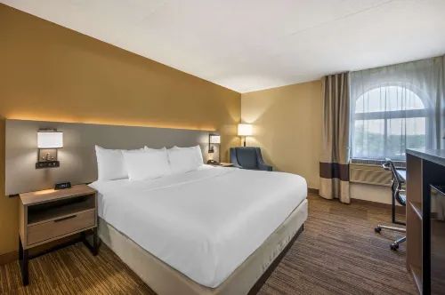 Comfort Inn & Suites East Hartford - Hartford Chambres Photos
