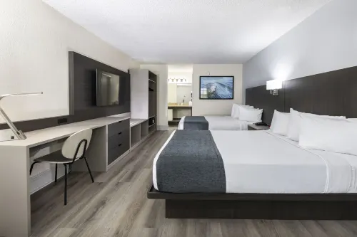 Avanti International Resort Rooms Photos
