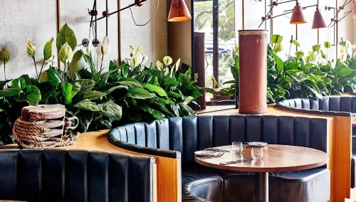 Bannisters Port Stephens Dining Photos