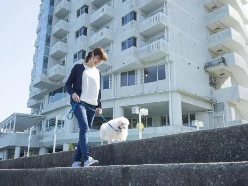 Izumigo Toba Dog Paradise Hotel Extérieur Photos
