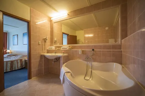 Top Hotel Praha Camere Photos