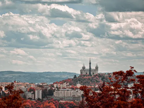Pullman Lyon À proximité de l'hôtel Photos