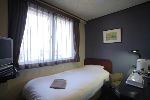 Shimizu City Hotel Camere Photos