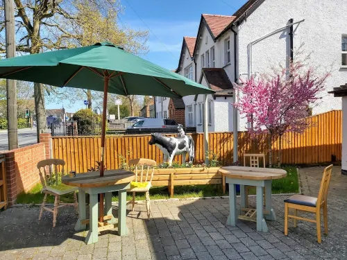 Oxford Guest House Esterni Photos