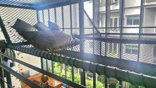 Lantana Pattaya Photos