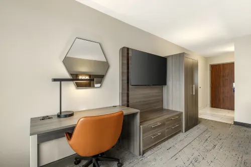 Holiday Inn Express & Suites Nashville Southeast - Antioch Chambres Photos