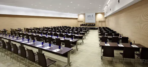 Melia Costa Del Sol Бизнес-удобства Photos