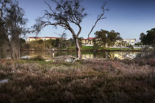 Swan River Hotel Near Hotel Photos