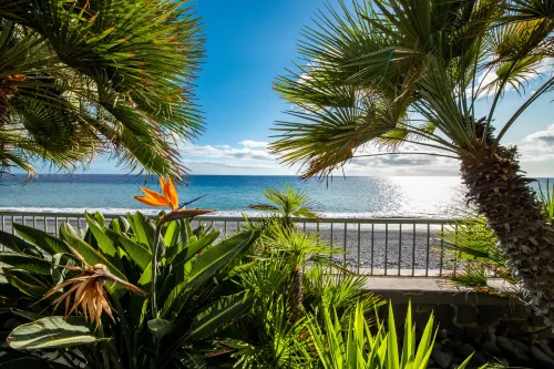 Pestana Ocean Bay Resort À proximité de l'hôtel Photos