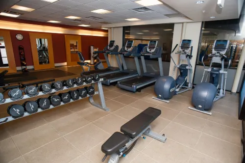 Embassy Suites by Hilton Detroit Livonia Novi Vapaa-aika ja virkistys Photos