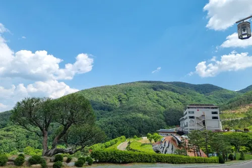 지리산 산청한방가족호텔 호텔 주변 Photos