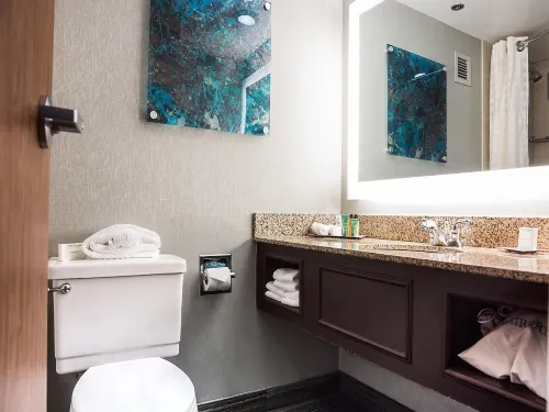 Hilton Houston NASA Clear Lake الغرف Photos