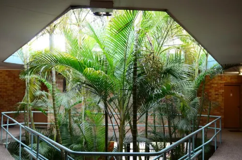 Bankstown Motel 10 Near Hotel Photos