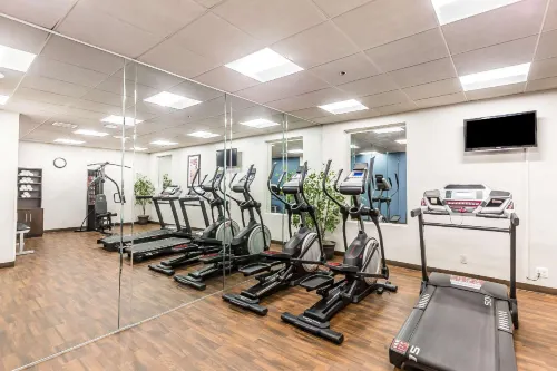 Comfort Inn Shady Grove - Gaithersburg - Rockville Loisirs et amusements Photos