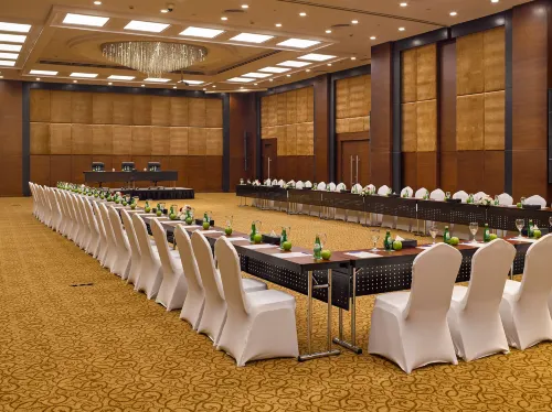 Radisson Blu Hotel & Convention Center, Alexandria Geschäftseinrichtungen Photos