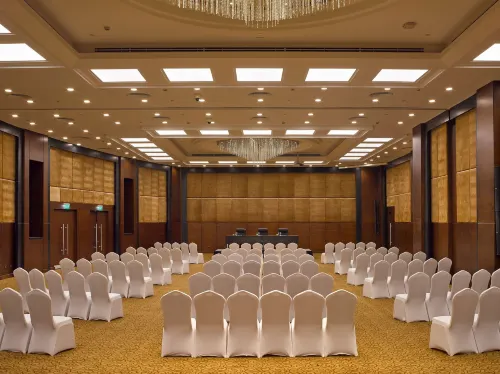 Radisson Blu Hotel & Convention Center, Alexandria Geschäftseinrichtungen Photos