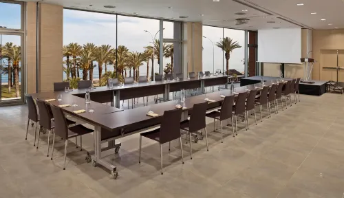 Melia Costa Del Sol Бизнес-удобства Photos