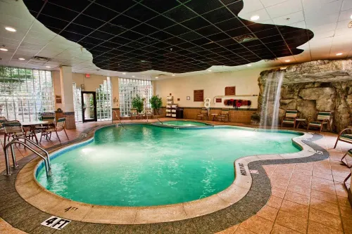 Embassy Suites by Hilton Detroit Livonia Novi الترفيه والتسلية Photos