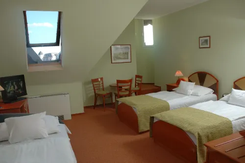 Baross City Hotel - Budapest Photos