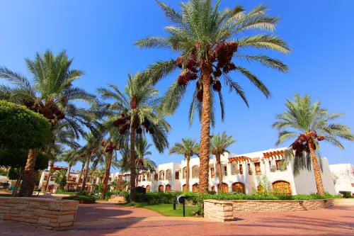 Coral Hills Resort Sharm El-Sheikh Rooms Photos